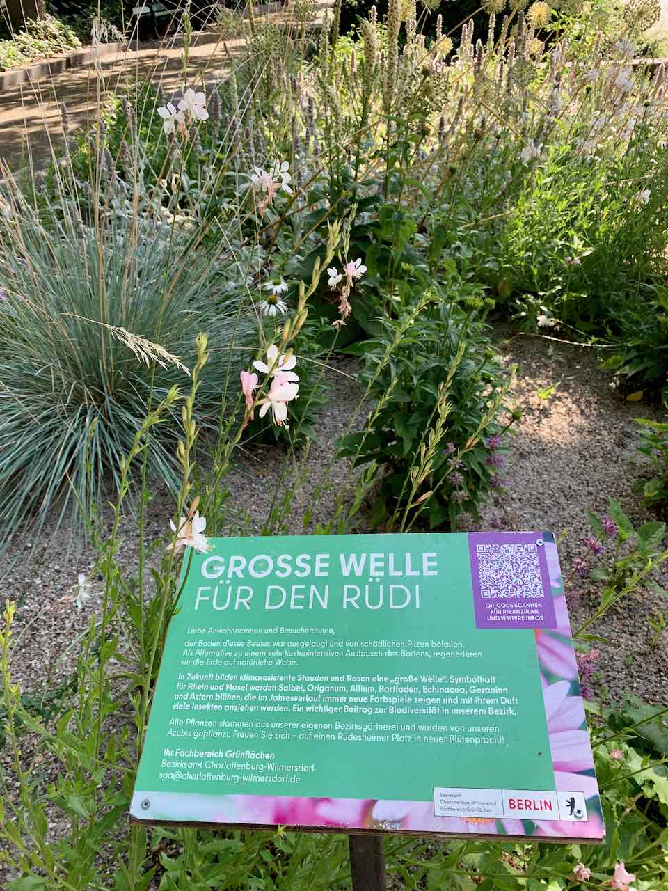Wildwiesen in die Städte! – Vorbilder